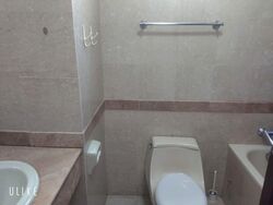 Tanglin Regency (D10), Condominium #606322381